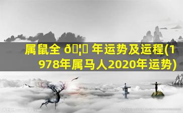 属鼠全 🦆 年运势及运程(1978年属马人2020年运势)